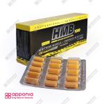 اچ ام بی 1000 ژن استار - Image 4